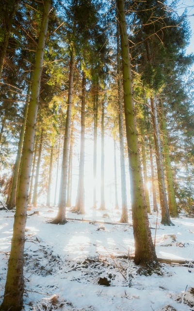 Natuurbeeld van de wandelretraite op de website van Voilà 013